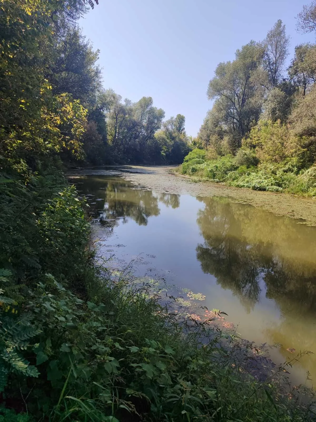 Deponija Klađe — fotografija 2