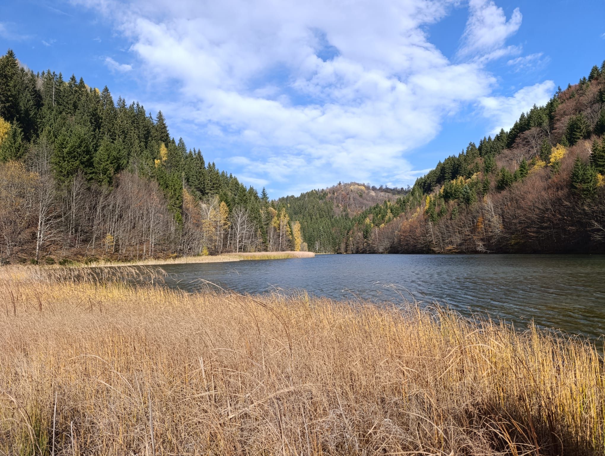 Flotacijsko jezero Veovača, Vareš