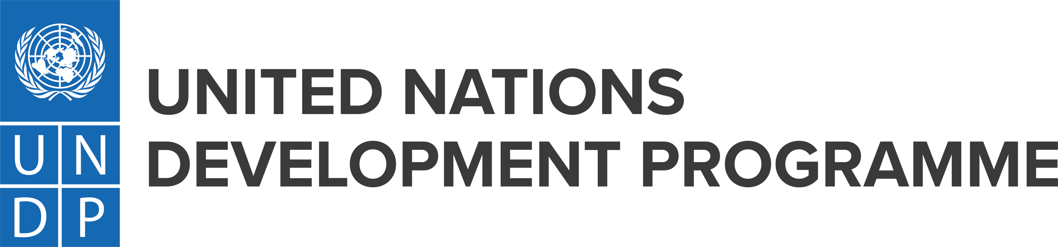 Razvojni program Ujedinjenih nacija (UNDP)